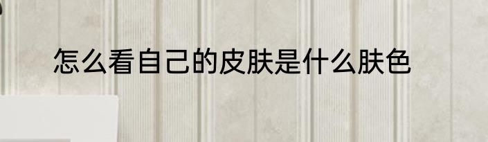 怎么看自己的皮肤是什么肤色