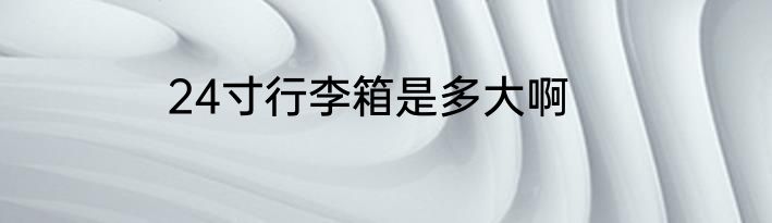 24寸行李箱是多大啊