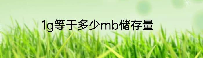 1g等于多少mb储存量