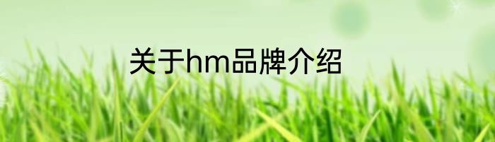 关于hm品牌介绍