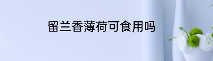 留兰香薄荷可食用吗