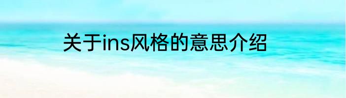 关于ins风格的意思介绍