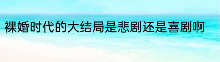 裸婚时代的大结局是悲剧还是喜剧啊
