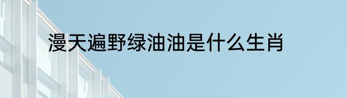 漫天遍野绿油油是什么生肖
