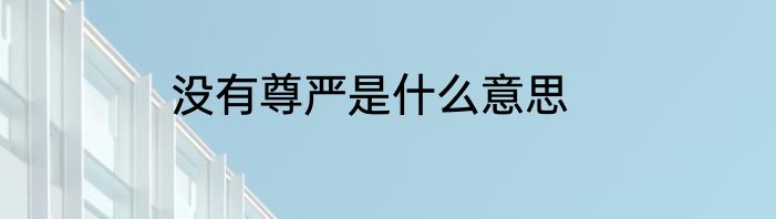 没有尊严是什么意思