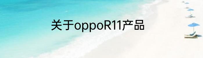 关于oppoR11产品