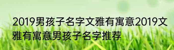 2019男孩子名字文雅有寓意2019文雅有寓意男孩子名字推荐