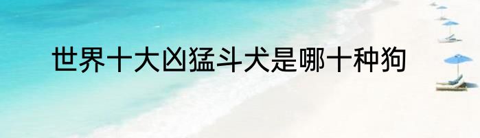 世界十大凶猛斗犬是哪十种狗