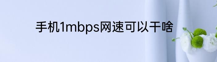 手机1mbps网速可以干啥