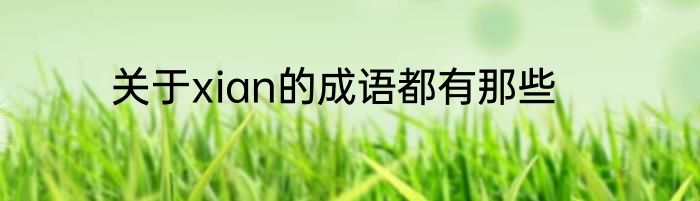 关于xian的成语都有那些