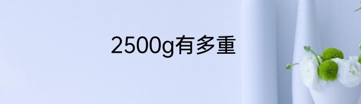2500g有多重