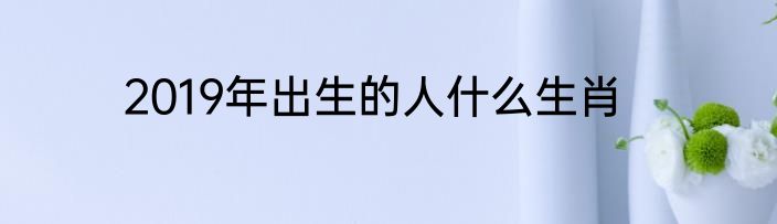 2019年出生的人什么生肖
