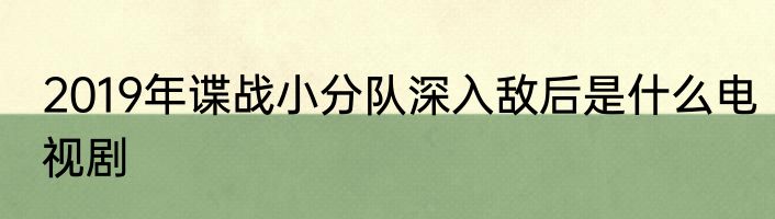 2019年谍战小分队深入敌后是什么电视剧