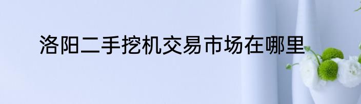 洛阳二手挖机交易市场在哪里