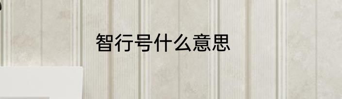 智行号什么意思