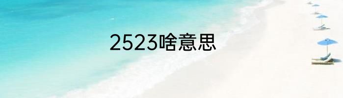 2523啥意思