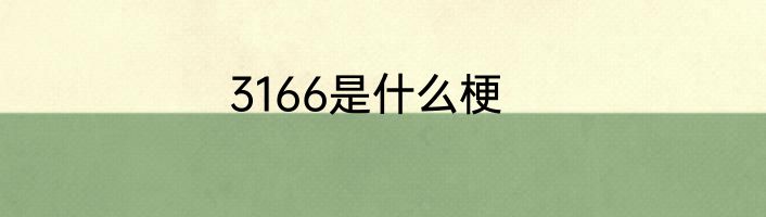 3166是什么梗