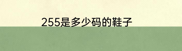 255是多少码的鞋子