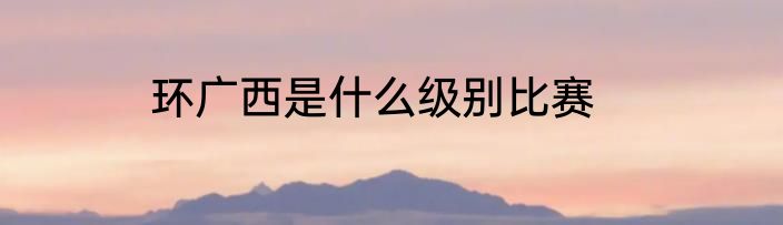 环广西是什么级别比赛
