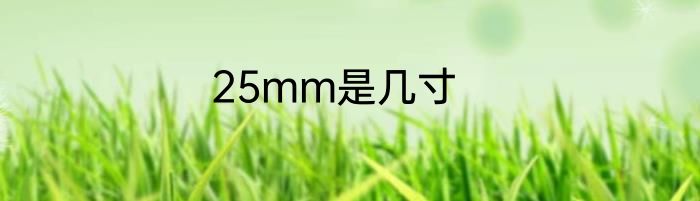 25mm是几寸