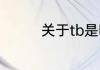 关于tb是哪个牌子的介绍