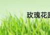 玫瑰花跟月季的区别
