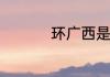 环广西是什么级别比赛