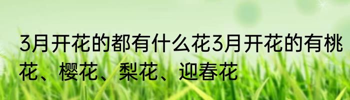 3月开花的都有什么花3月开花的有桃花、樱花、梨花、迎春花