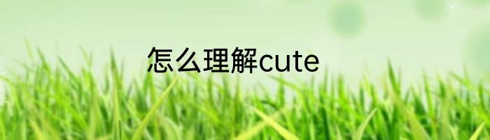 怎么理解cute