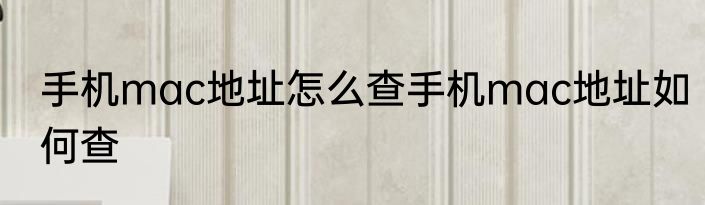 手机mac地址怎么查手机mac地址如何查