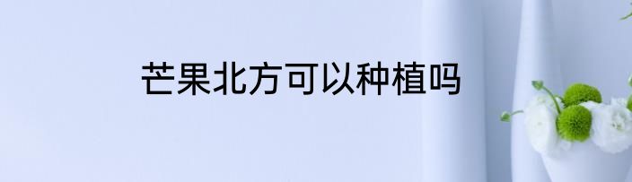 芒果北方可以种植吗