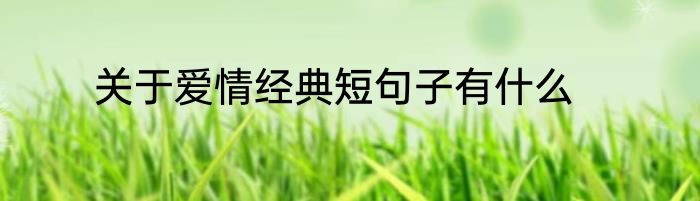 关于爱情经典短句子有什么