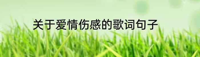 关于爱情伤感的歌词句子