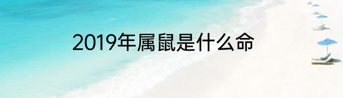 2019年属鼠是什么命