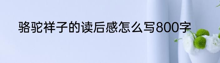 骆驼祥子的读后感怎么写800字