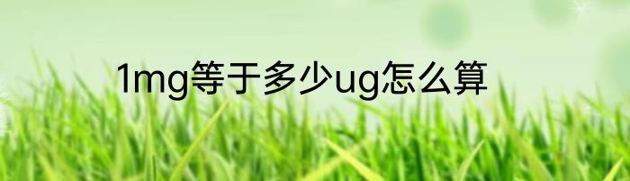 1mg等于多少ug怎么算