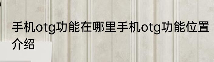手机otg功能在哪里手机otg功能位置介绍