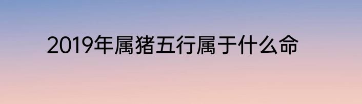 2019年属猪五行属于什么命