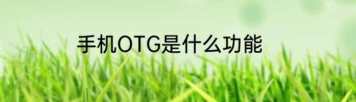 手机OTG是什么功能