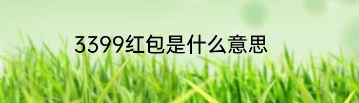 3399红包是什么意思