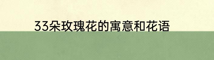 33朵玫瑰花的寓意和花语
