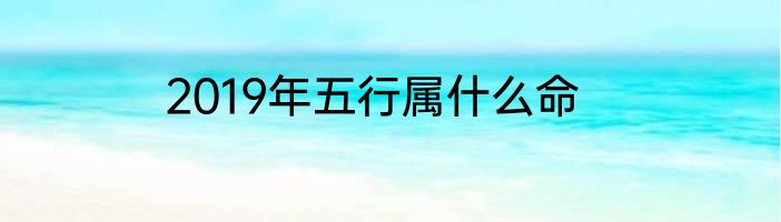 2019年五行属什么命