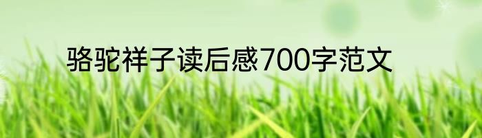 骆驼祥子读后感700字范文