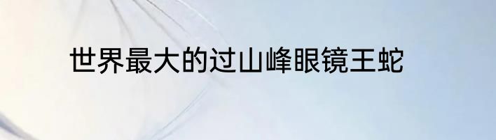 世界最大的过山峰眼镜王蛇