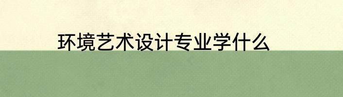 环境艺术设计专业学什么
