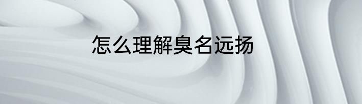 怎么理解臭名远扬