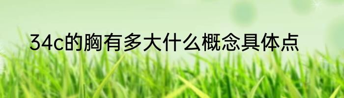 34c的胸有多大什么概念具体点