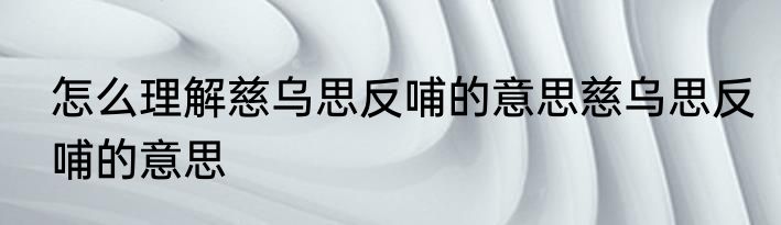 怎么理解慈乌思反哺的意思慈乌思反哺的意思