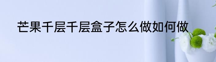 芒果千层千层盒子怎么做如何做