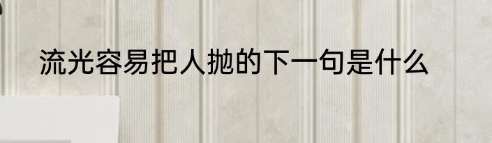 流光容易把人抛的下一句是什么